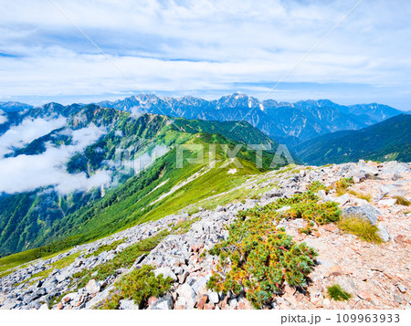 夏の爺ヶ岳登山（爺ヶ岳南峰頂上から立山・剱岳方面の眺め） 109963933