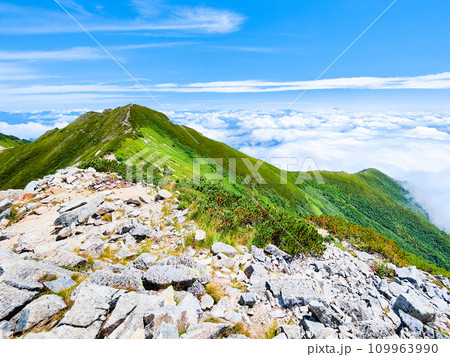 夏の爺ヶ岳登山（爺ヶ岳中峰と雲海） 109963990