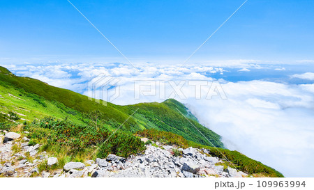 夏の爺ヶ岳登山（雲海） 109963994