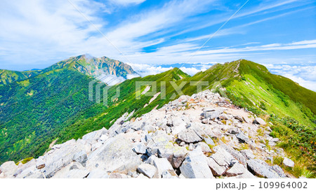 夏の爺ヶ岳登山（爺ヶ岳南峰頂上から鹿島槍ヶ岳・爺ヶ岳北峰・中峰を望む） 109964002