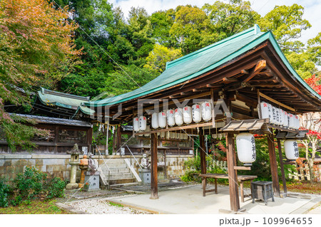 京都市左京区浄土寺真如町の日吉神社　本殿 109964655