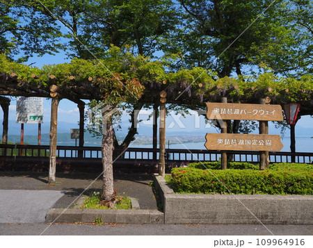 奥琵琶湖パークウェイ・奥琵琶湖国定公園(滋賀県・長浜市) 奥琵琶湖パークウェイ・奥琵琶湖国定公園(滋賀県・長浜市) 109964916