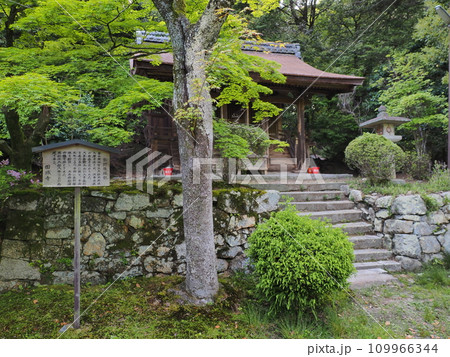 園城寺 (三井寺)の熊野権現社（ 滋賀県・大津市）2 109966344
