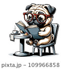 読書をするパグ 109966858