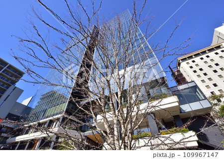 福岡大名ガーデンシティ広場 大名ガーデンシティ 天神ビッグバン 福岡大名ガーデンシティ広場 大名ガーデンシティ 天神ビッグバン 109967147