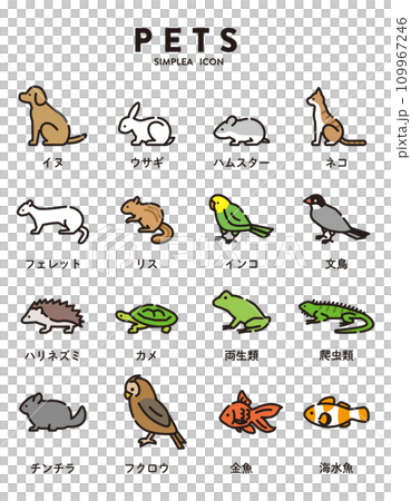 Pet icon illustration set Pet icon illustration set 109967246