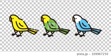 parakeet small bird pet animal bird illustration 109967250