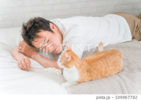 猫じゃらしを使って愛猫と遊ぶ飼い主のアジア人男性 猫じゃらしを使って愛猫と遊ぶ飼い主のアジア人男性 109967782