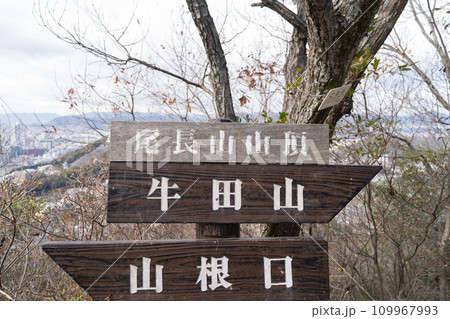 尾長山の山頂（牛田山縦走路） 109967993