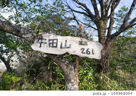 牛田山の山頂(牛田山縦走路) 牛田山の山頂(牛田山縦走路) 109968004