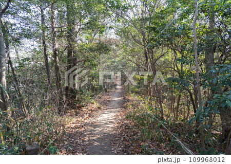 神田山から牛田山へ向かう登山道（牛田山縦走路） 109968012