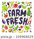 Set with hand drawn colorful doodle fruits and vegetables.Farm fresh hand drawn illustration with typography. Salads, tomatoes, carrot design elements 109968029