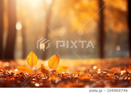 Autumn beech leaves decorate a beautiful nature bokeh background with forest ground Generative AI 109968746