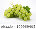Green grape with leaves isolated on white background Generative AI 109969405