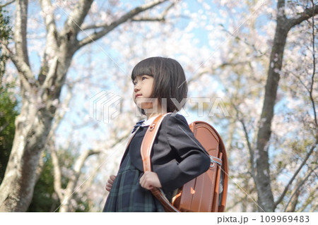 満開の桜の下でランドセルを背負った女の子 満開の桜の下でランドセルを背負った女の子 109969483