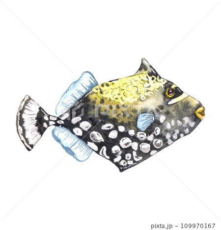 Yellow fish with textures dots. Watercolor illustration isolated on white Yellow fish with textures dots. Watercolor illustration isolated on white 109970167