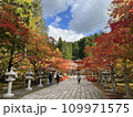 高野山の秋 109971575