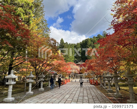 高野山の秋 高野山の秋 109971575