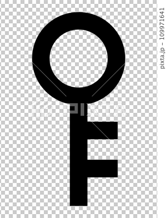 simple key icon 109971641