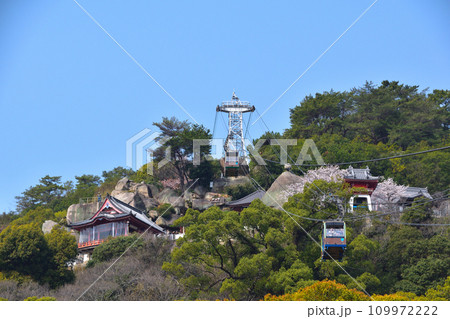 春　千光寺山 109972222