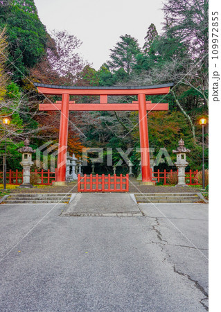 秋の朝 静かな香取神宮 二の鳥居(千葉県香取市) 秋の朝 静かな香取神宮 二の鳥居(千葉県香取市) 109972855