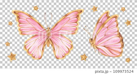Butterfly Set Watercolor illustration. Hand drawn clip art on white isolated background. Drawing of insect with pink and gold wings. Painting of flying moth for baby birthday decorations 109973524