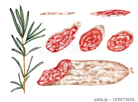 Rosemary branch and slices of Spanish sausage fuet with white mold. Clipart. Watercolor, hand drawn art illustration isolated. For cards, handmade textiles, prints, menus, posters. 109973656