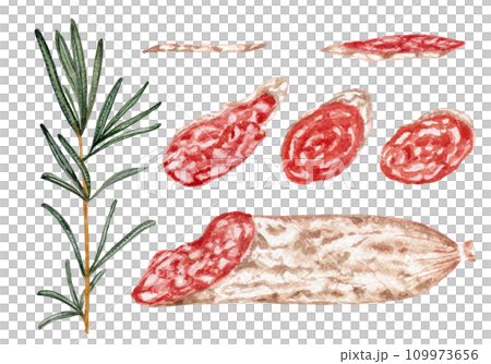 Rosemary branch and slices of Spanish sausage fuet with white mold. Clipart. Watercolor, hand drawn art illustration isolated. For cards, handmade textiles, prints, menus, posters. 109973656