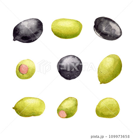 Various olives. Clipart. Watercolor, hand drawn art illustration isolated. For cards, handmade textiles, prints menus posters 109973658