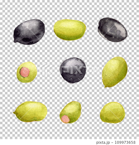 Various olives. Clipart. Watercolor, hand drawn art illustration isolated. For cards, handmade textiles, prints menus posters 109973658