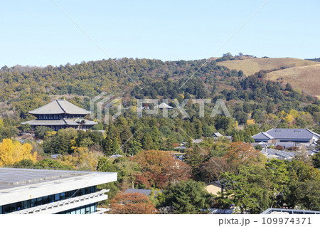 奈良県奈良市 秋の東大寺大仏殿と若草山 奈良県庁からの眺め 奈良県奈良市 秋の東大寺大仏殿と若草山 奈良県庁からの眺め 109974371