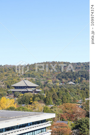 奈良県奈良市　秋の東大寺大仏殿と若草山　奈良県庁からの眺め 109974374