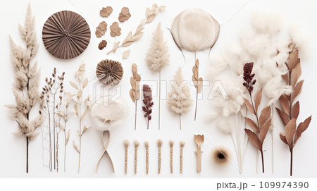 ドライフラワー ドライフラワー 109974390