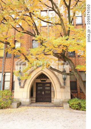 東京大学 紅葉 東京大学 紅葉 109974560