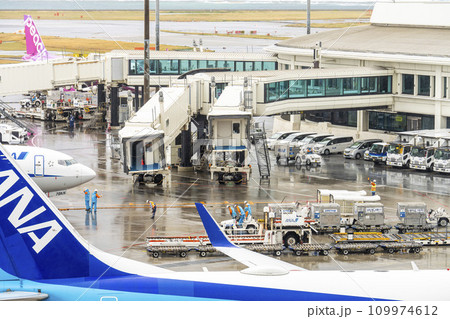 雨の空港　グランドハンドリングと旅客機　沖縄県那覇市 109974612