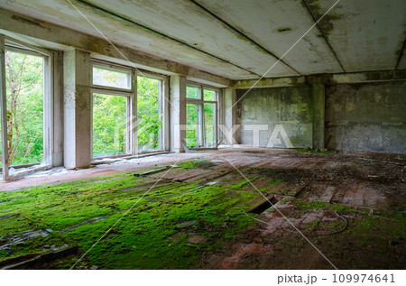 Premises of abandoned school in resettled village of Pogonnoe in exclusion zone of Chernobyl nuclear power plant, Belarus 109974641