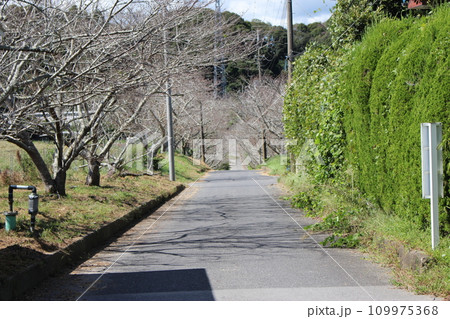 高秀牧場 ミルク工房 並木道(出口) 高秀牧場 ミルク工房 並木道(出口) 109975368