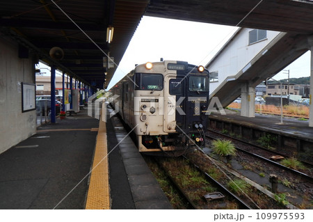 指宿駅に停車中の観光特急 指宿のたまて箱 指宿駅に停車中の観光特急 指宿のたまて箱 109975593
