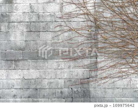 Fragment of an old stone wall Fragment of an old stone wall 109975642