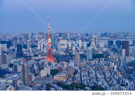 東京・都市風景・東京タワー 夜景 東京・都市風景・東京タワー 夜景 109975854
