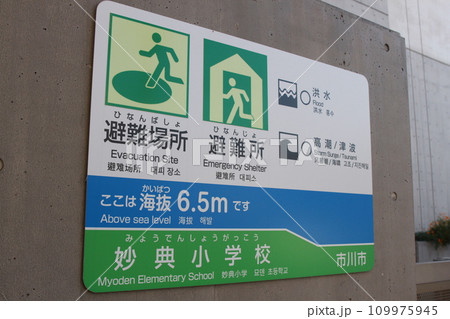 避難所及び福祉避難所に指定されている妙典小学校 避難所及び福祉避難所に指定されている妙典小学校 109975945