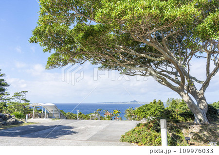国営沖縄記念公園 海洋博公園の風景 沖縄県本部町 国営沖縄記念公園 海洋博公園の風景 沖縄県本部町 109976033