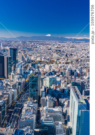 （東京都）渋谷から眺める西東京の街並みと富士山 109976706