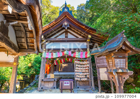 京都市北区上賀茂本山の片山御子神社 本殿(重要文化財) 京都市北区上賀茂本山の片山御子神社 本殿(重要文化財) 109977004