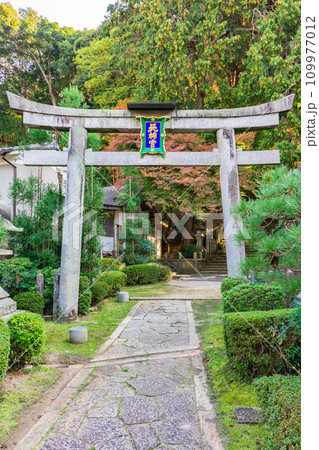 京都市左京区北白川仕伏町の北白川天神宮　鳥居 109977012