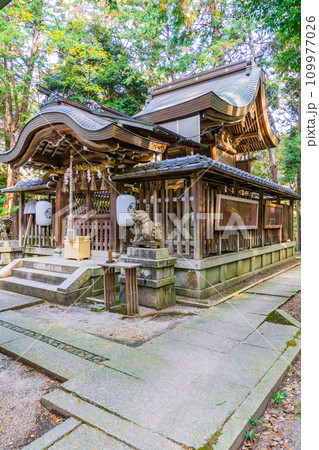 京都市左京区北白川仕伏町の北白川天神宮　本殿 109977026