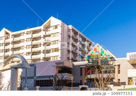 西国分寺駅前のショッピング モール　西国分寺レガ 109977151