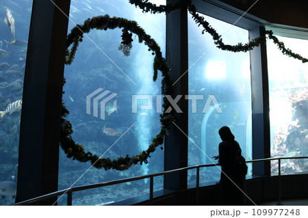 静岡県下田市にある「下田海中水族館」 静岡県下田市にある「下田海中水族館」 109977248