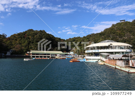 静岡県下田市にある「下田海中水族館」 109977249