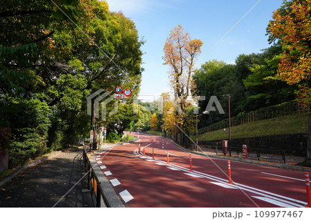 東京23区の坂道　安鎮坂 109977467